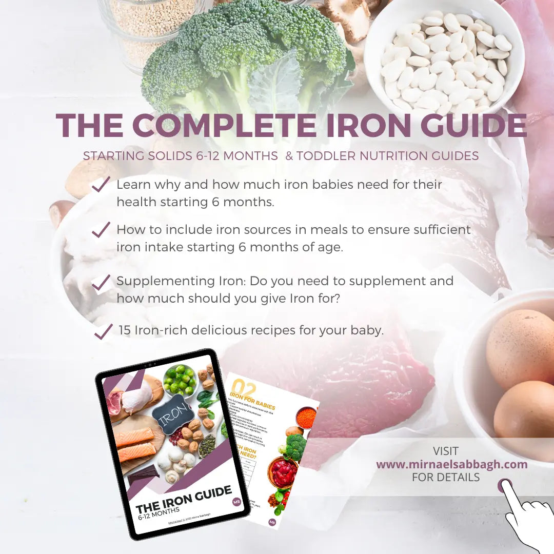 The Complete Iron Guide mirnaelsabbagh